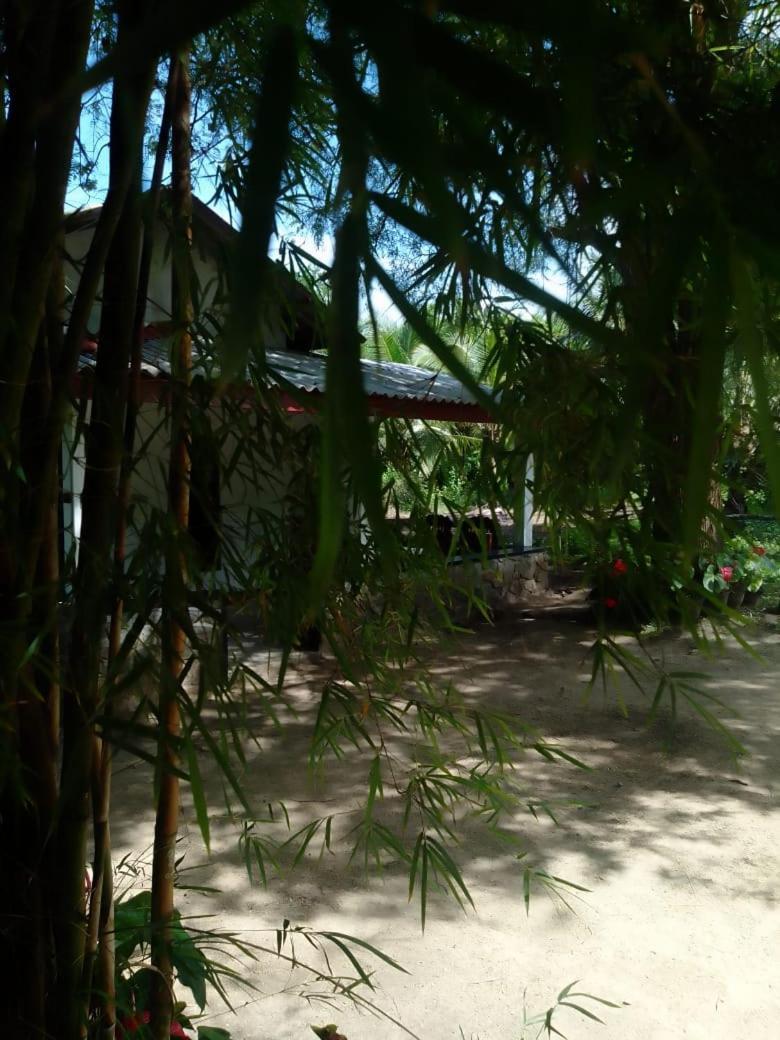 Soma Cabana, Homestay & Restaurant Тангале Екстериор снимка